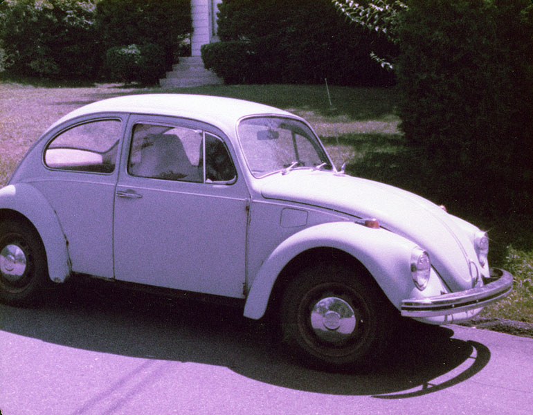 The Volkswagen Bug